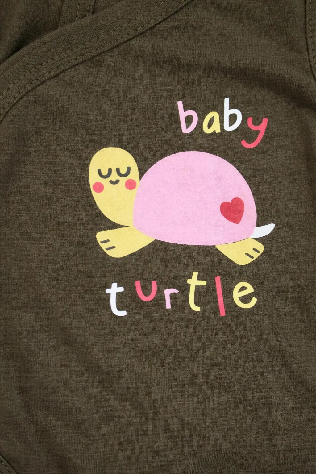 Turtle (1) Final